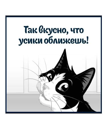 FELIX Feed for cats with turkey 75 g x 26 pcs - Buy Online on GoSupps.com