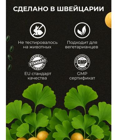 Natural Swiss dietary supplement Gincoline Forte 60 capsules Vivasan - Buy Online on GoSupps.com