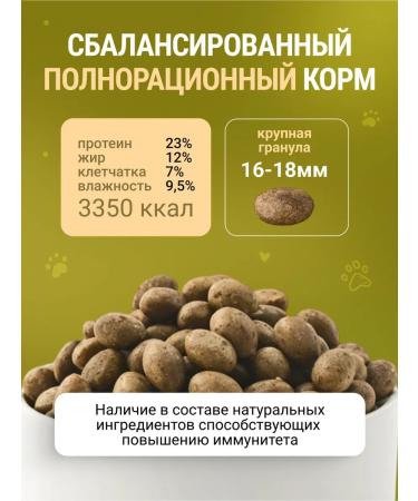 Be Healthy dry food Dry food for dogs with a duck Large granules - Buy Online on GoSupps.com