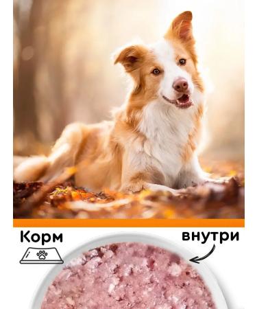 Ekonorm Dog food is wet beef and heart 340 g 12 pcs - Buy Online on GoSupps.com