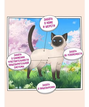 Zillii Dry food for cats Superpremium 10 kg - Buy Online on GoSupps.com