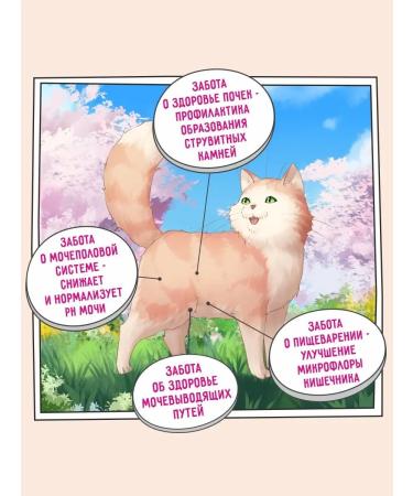 Zillii Dry food for cats ICB prevention 10 kg - Buy Online on GoSupps.com