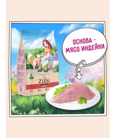 Zillii Dry food for cats ICB prevention 10 kg - Buy Online on GoSupps.com