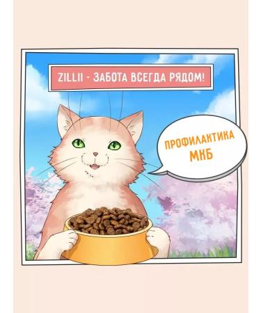 Zillii Dry food for cats ICB prevention 10 kg - Buy Online on GoSupps.com