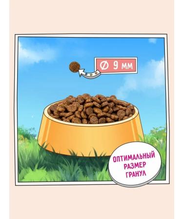 Zillii Dry food for cats Urinary 400 gr - Buy Online on GoSupps.com