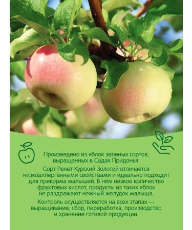 Gardens of Pridonya Apple puree 80g from 4 months (12pcs) - Buy Online on GoSupps.com