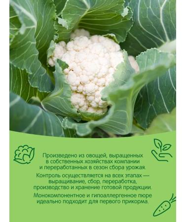 Gardens of Pridonya Puree from central explosion 80g from 4 months (12pcs) - Buy Online on GoSupps.com