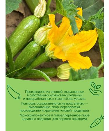 Gardens of Pridonya Kabachnaya mashed potatoes 125g from 4 months (18pcs) - Buy Online on GoSupps.com