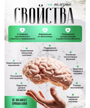 NSOrganic Ezhovik crested mycelium Lions Mane ground 500 gr. - Buy Online on GoSupps.com