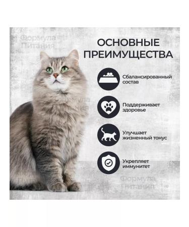 Snowball Dry food for cats Assorted 10 kg - Buy Online on GoSupps.com