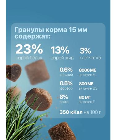 DILLY Adult dog food fish and rice 14 kg - Buy Online on GoSupps.com