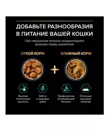 PRO PLAN Dry food for sterilized cats with salmon 10 kg - Buy Online on GoSupps.com