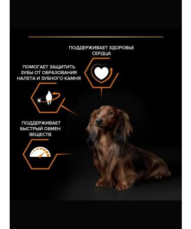 PRO PLAN Dry food for adults small dogs chicken 3 kg - Buy Online on GoSupps.com