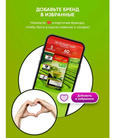 Green Tea of Baykhovy Milford small -leaf in bags 3 - Buy Online on GoSupps.com