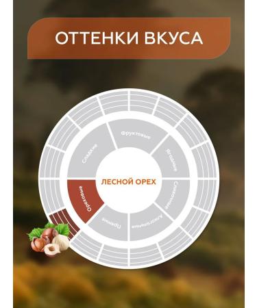 Gemma coffee scented woods 1 kg - Buy Online on GoSupps.com