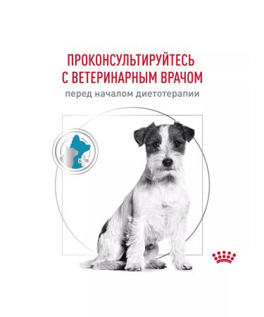 ROYAL CANIN Dog food hypoallergenic dry for small species 3.5 kg - Buy Online on GoSupps.com