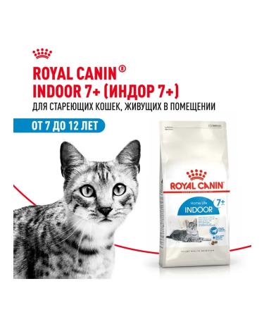ROYAL CANIN Dry food for cats of the elderly Indoor 7+ Indodor 1.5 kg - Buy Online on GoSupps.com