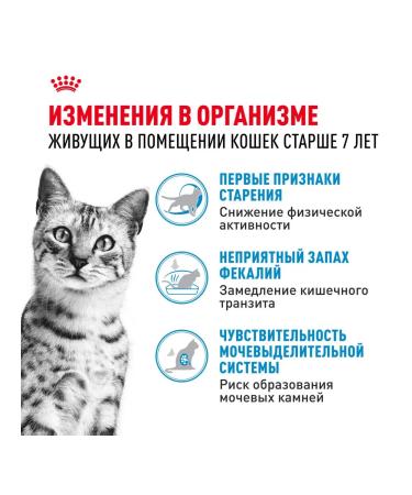 ROYAL CANIN Dry food for cats of the elderly Indoor 7+ Indodor 1.5 kg - Buy Online on GoSupps.com