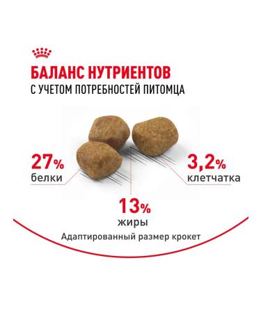 ROYAL CANIN Dry food for cats of the elderly Indoor 7+ Indodor 1.5 kg - Buy Online on GoSupps.com