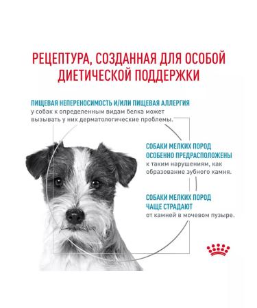 ROYAL CANIN Dog food hypoallergenic dry for small rocks 1 kg - Buy Online on GoSupps.com