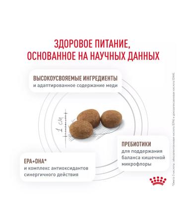 ROYAL CANIN Dog feed for dry Hepatic HF16 for dogs Hepatic 6 kg - Buy Online on GoSupps.com