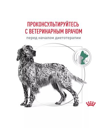 ROYAL CANIN Dry food for dogs of all Diabetic breeds 1.5 kg - Buy Online on GoSupps.com