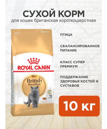 ROYAL CANIN Cat Feed dry British shorthair British 10 kg