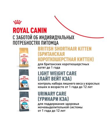 ROYAL CANIN Cat Feed dry British shorthair British 10 kg - Buy Online on GoSupps.com