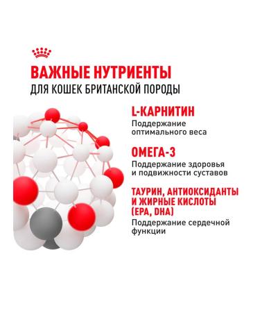 ROYAL CANIN Cat Feed dry British shorthair British 10 kg - Buy Online on GoSupps.com