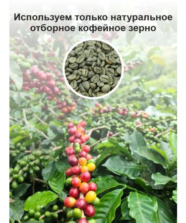 PiligrinPiligrini Brazil Arabica 100% coffee in grains - Buy Online on GoSupps.com