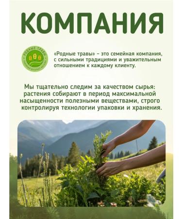 Native herbs St. John's wort grass dried perforated phyto tea - Buy Online on GoSupps.com