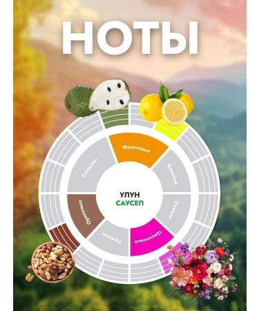 Balzer Green oolun Sausep (100g) - Buy Online on GoSupps.com