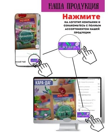 BlackberryART Gift set of herbal tea - Buy Online on GoSupps.com