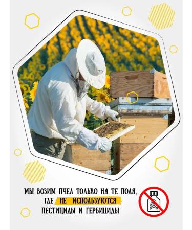 Honey of the Mamdeev family Hawthorn honey 1.1 kg eco-product - Buy Online on GoSupps.com