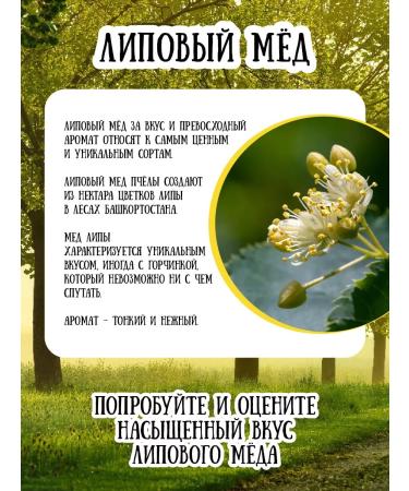 Honey of the Mamdeev family Linden honey superfood without sugar lifestyle - Buy Online on GoSupps.com