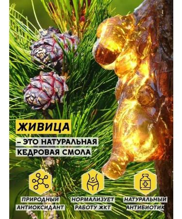 Honey of the Mamdeev family Honey with cedar gum 1400 g pp sweets - Buy Online on GoSupps.com