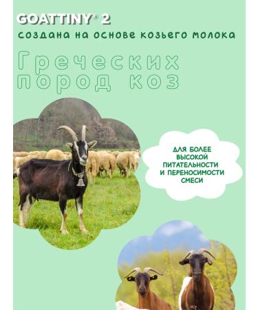 GOATTINY A mixture on goat's milk is 2 (6-12 months) 400 g - Buy Online on GoSupps.com