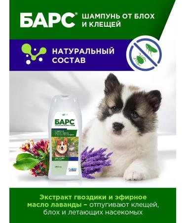 AVZ Shampoo for dogs and cats from fleas and ticks - Buy Online on GoSupps.com