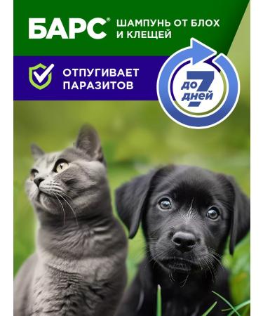 AVZ Shampoo for dogs and cats from fleas and ticks - Buy Online on GoSupps.com