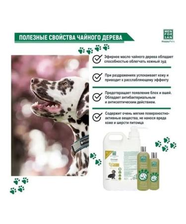 Men For San Natural shampoo with tea tree for irritations for  - Buy Online on GoSupps.com