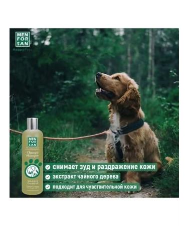 Men For San Natural shampoo with tea tree for irritations for  - Buy Online on GoSupps.com