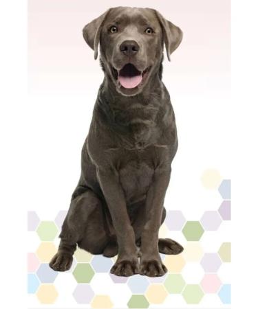 SECRET FOR PETS Multivitamin with L-carnitine beef for dogs 60 pcs - Buy Online on GoSupps.com