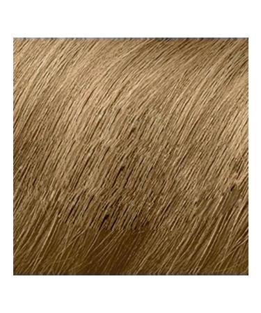 Hair Cream PhyTOSOLOR 8.3 Subber Golden Blond - Buy Online on GoSupps.com