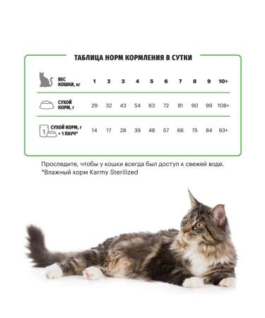 KARMY Cat food dry sterilized turkey 400g - Buy Online on GoSupps.com