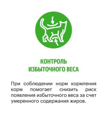 KARMY Cat food for dry sterilized salmon 400 g - Buy Online on GoSupps.com