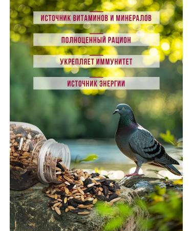 LittleShark Cereal feed for street birds - Buy Online on GoSupps.com