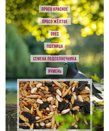 LittleShark Cereal feed for street birds - Buy Online on GoSupps.com