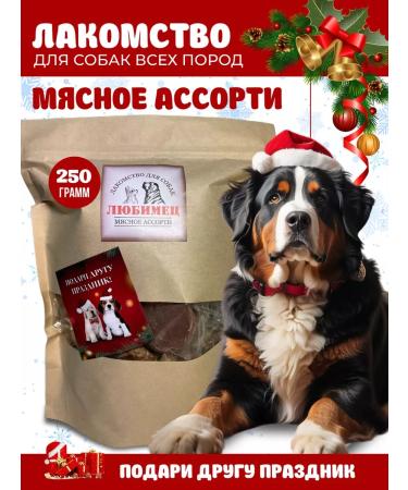 Favorite Dog treats for dogs Assorted 250 g