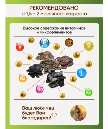 Favorite Dog treats for dogs Assorted 250 g - Buy Online on GoSupps.com