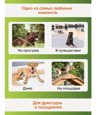 Favorite Dog treats for dogs Assorted 250 g - Buy Online on GoSupps.com